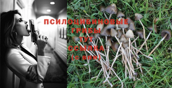 героин Новозыбков