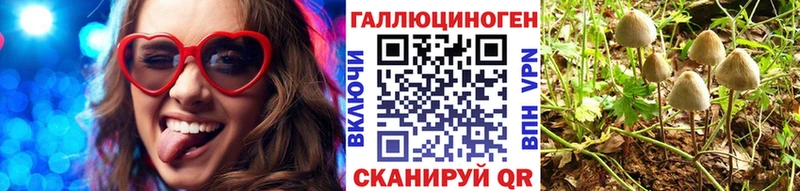 Псилоцибиновые грибы Psilocybe  Купить где  Северская 